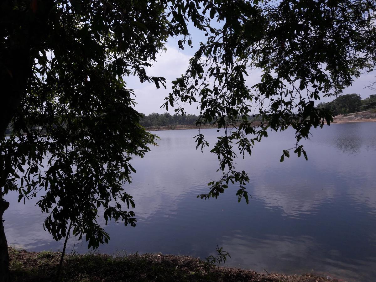 Saragama Holiday Resort Kurunegala Exteriör bild