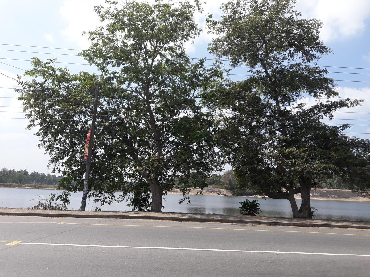 Saragama Holiday Resort Kurunegala Exteriör bild
